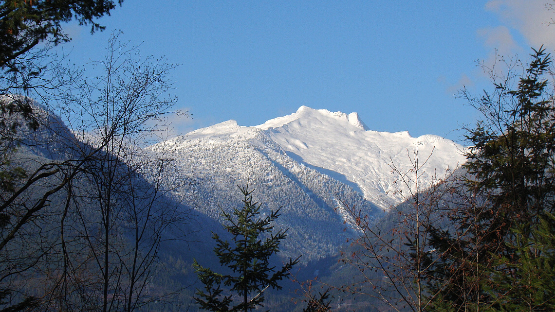 Name:  2SIMrNL.jpg
Views: 71
Size:  596.2 KB