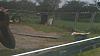 The Bonnevilles, 2000 SE, 2002 SLE and 2003 SSEi-2011-09-25_13-24-43_726.jpg