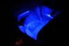 Footwell LEDs-405422_4387049795424_1168674778_n.jpg