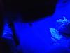 Footwell LEDs-imag0207.jpg