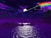 Pink_Floyd's Avatar